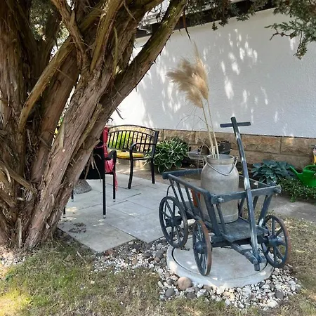 Apartment -in Lapide Regis- *